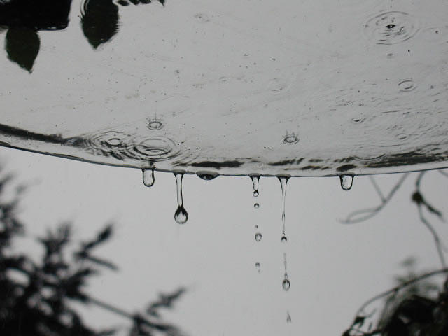 Regen